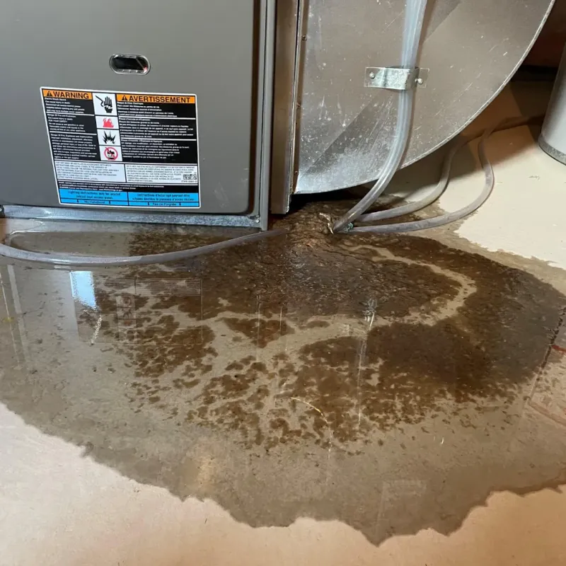 Appliance Leak Cleanup in Halawa Heights, HI