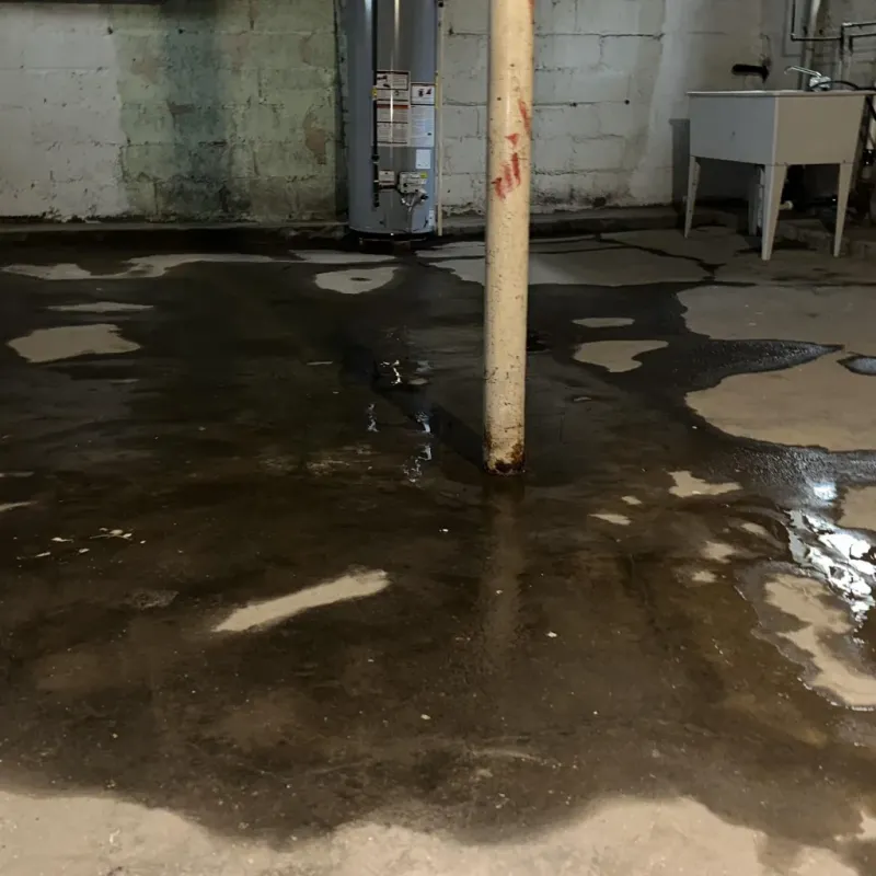 Emergency Water Extraction And Removal in Halawa Heights, HI